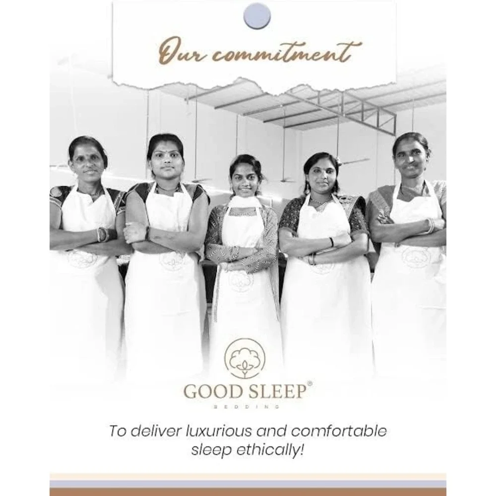 Good Sleep 1000 Thread Count KING Sheet Set Egyptian Cotton 4 Piece 16